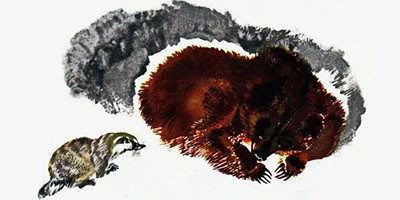 Барсук и медведь