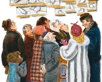 Белые амадины