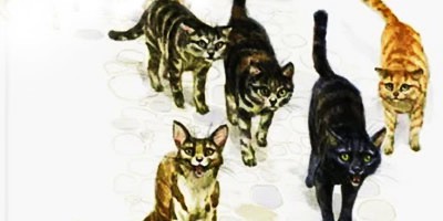 Королевская Аналостанка