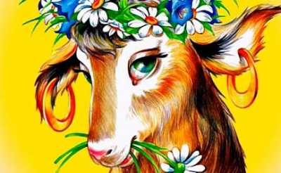 Коза