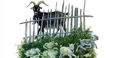 Козёл