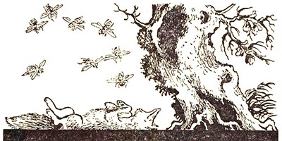 Лисица и пчёлы – китайская аудиосказка