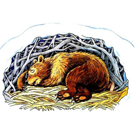 Медвежий сон – новогодняя песня