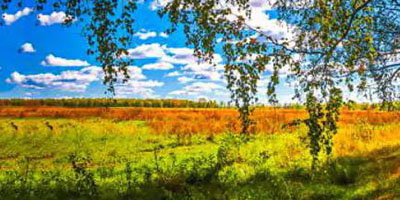 Моя родина – Пришвин М.М. (аудиоверсия)