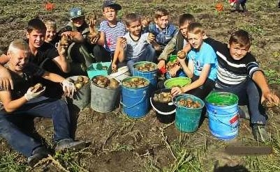 Мститель» – Солоухина В.А.