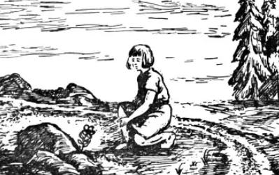 Неизвестный цветок