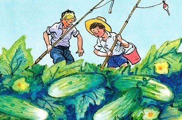 Огурцы