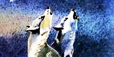 Отчего волк на Луну воет – русская народная аудиосказка