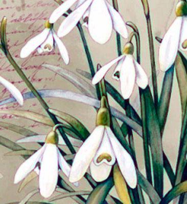 Подснежник
