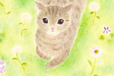 Серая кошка