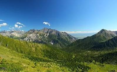Золотая чаша