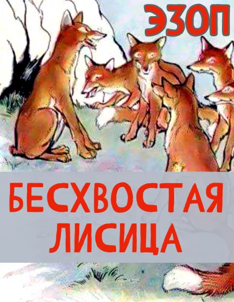 Бесхвостая лисица