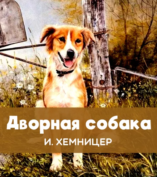 Дворная собака