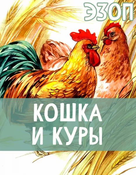 Кошка и Куры