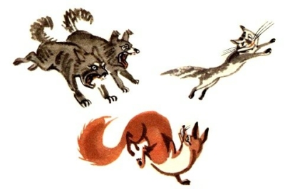 Кошка и лисица