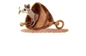 Кот с бубенцом