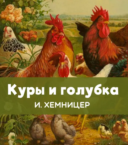 Куры и голубка
