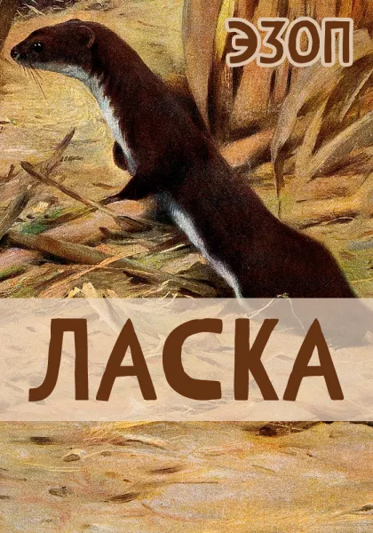 Ласка
