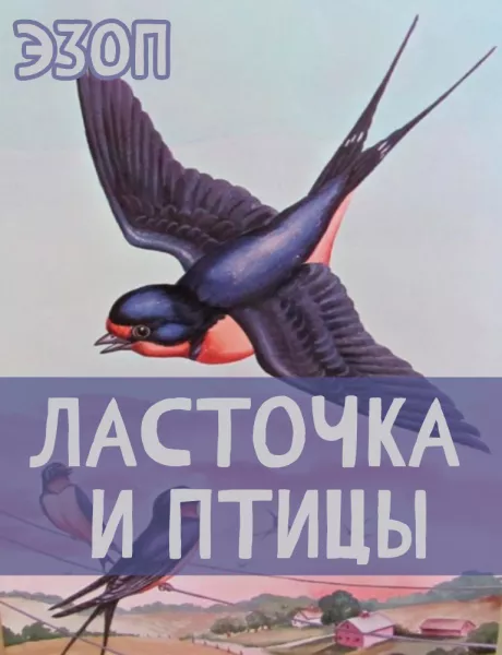 Ласточка и Птицы