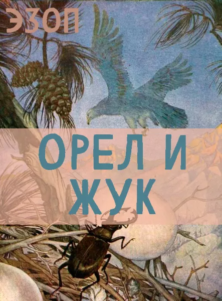 Орел и Жук