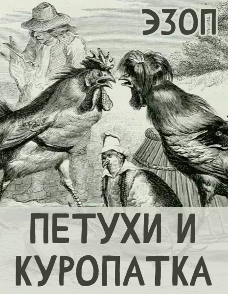 Петухи и Куропатка