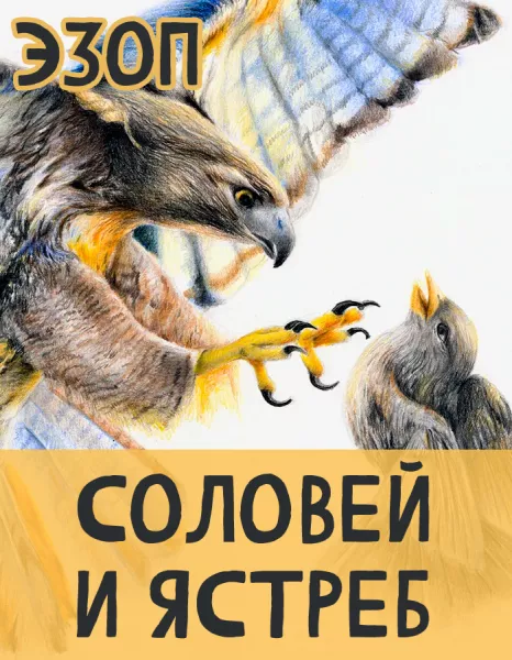 Соловей и Ястреб