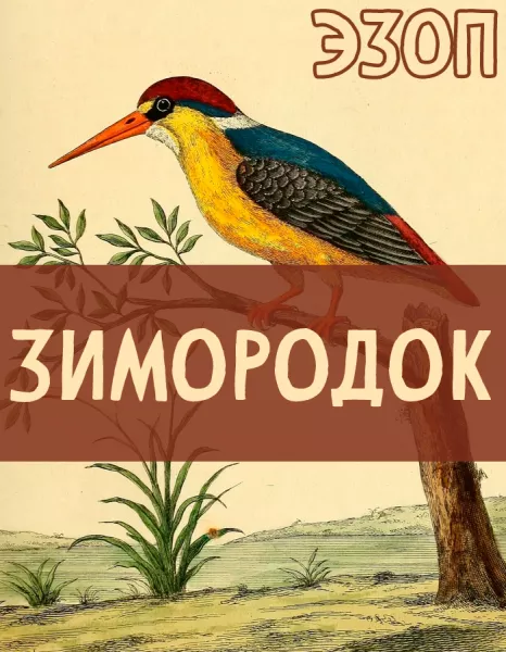 Зимородок