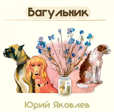 Багульник