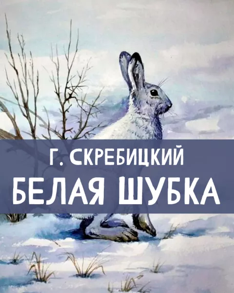 Белая шубка