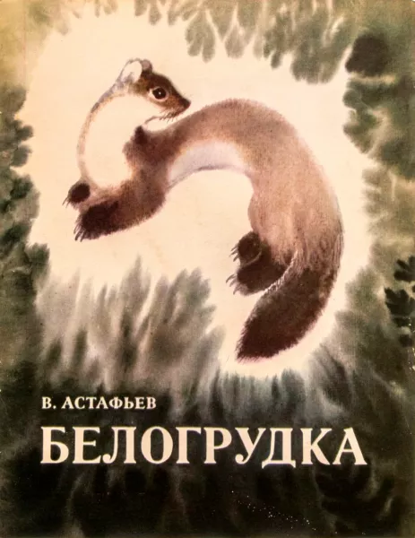 Белогрудка
