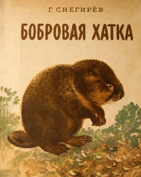 Бобровая хатка