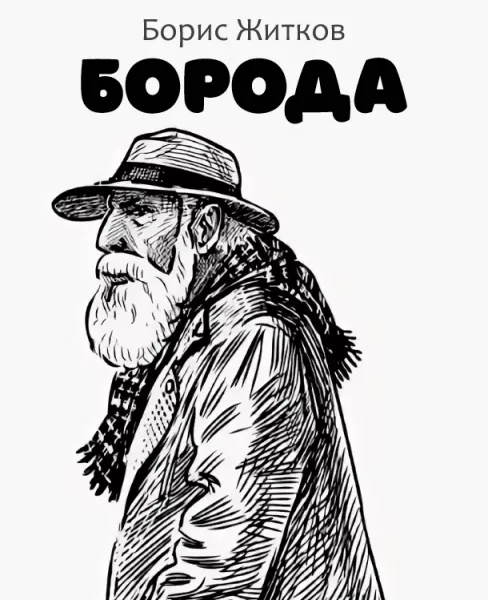 Борода