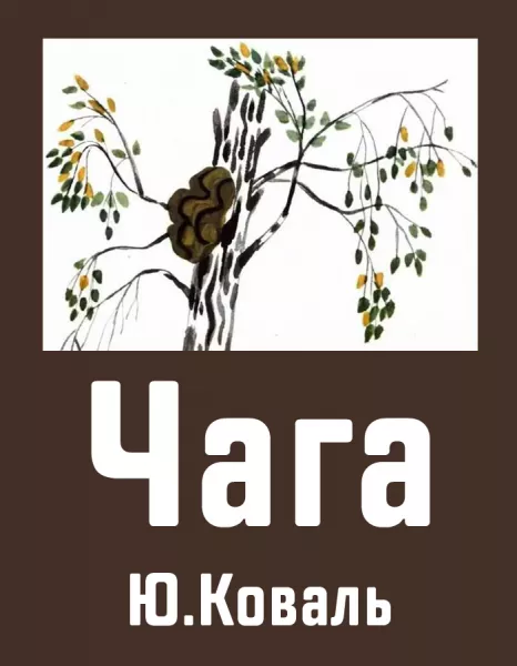 Чага