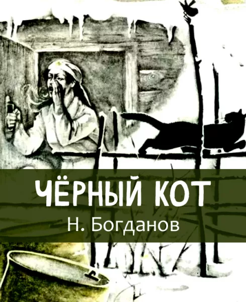 Чёрный кот