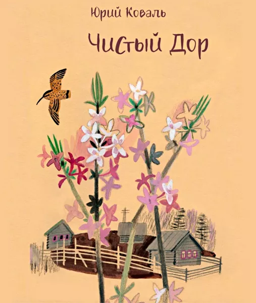 Чистый Дор