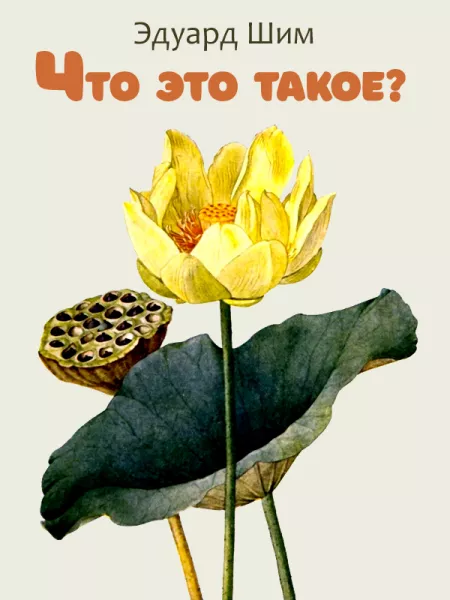 Что это такое?