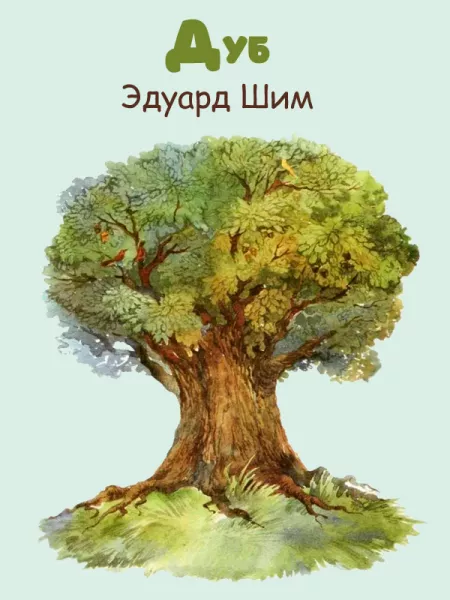 Дуб