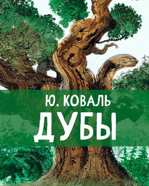 Дубы