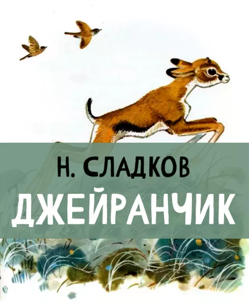 Джейранчик