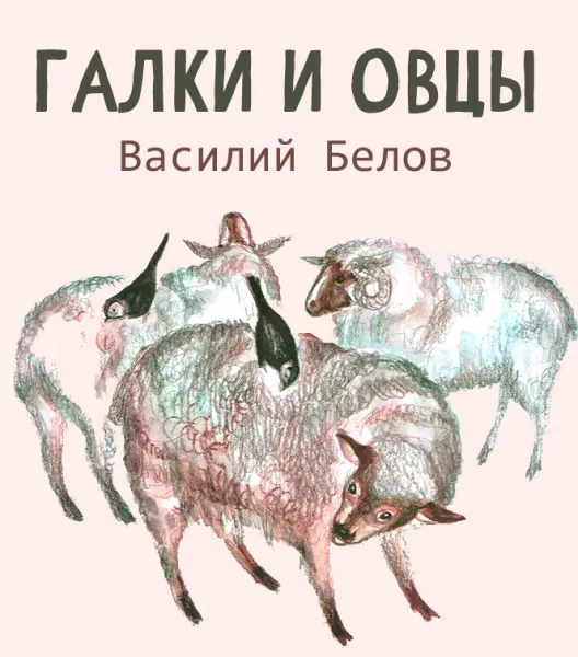 Галки и овцы