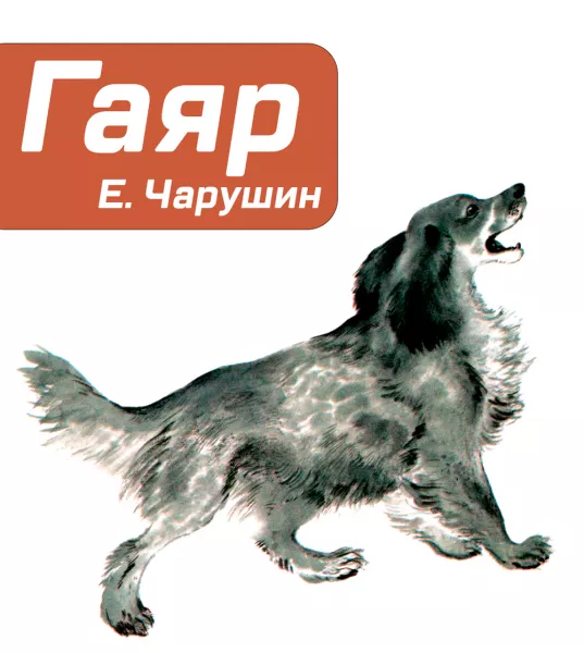 Гаяр