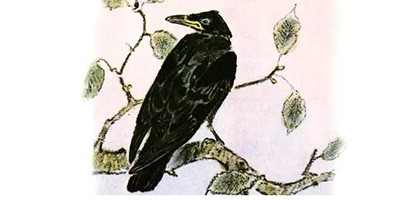 Говорящий грач