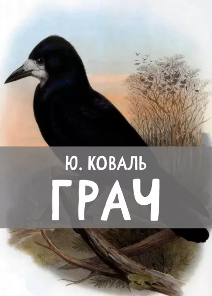 Грач