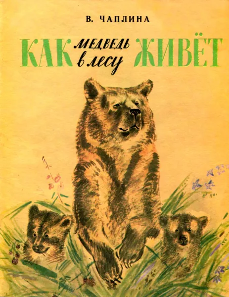 Как медведь в лесу живет