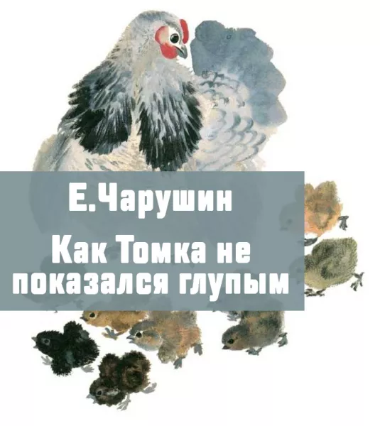 Как Томка не показался глупым