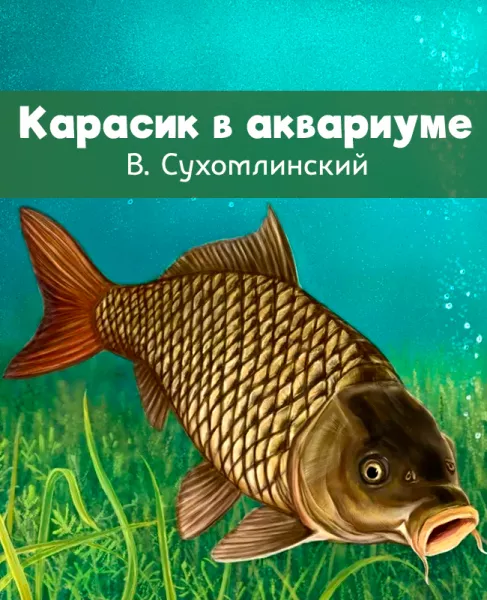 Карасик в аквариуме