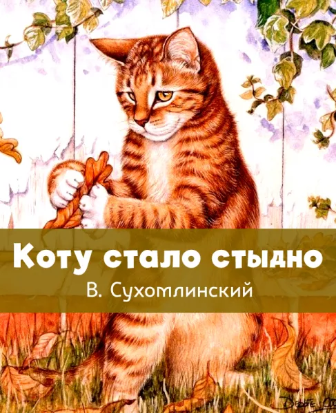 Коту стало стыдно