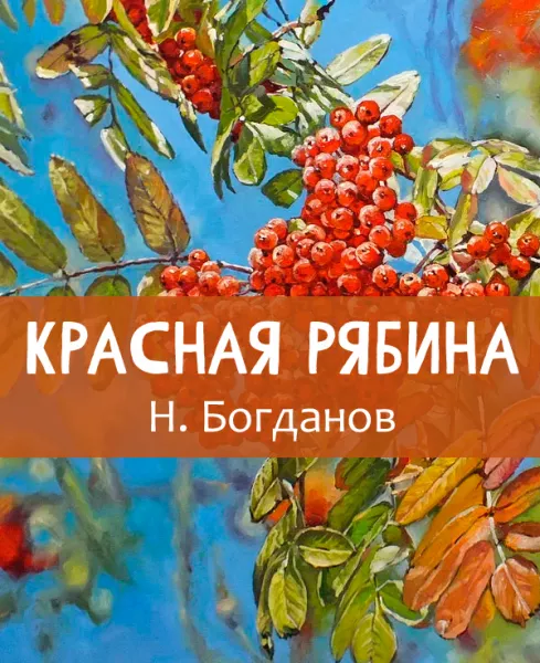 Красная рябина