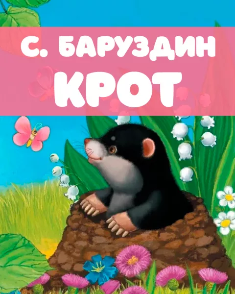Крот