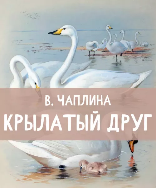 Крылатый друг